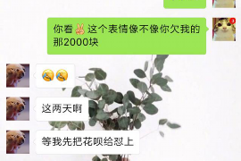 许昌融资清欠服务